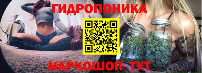 СК Брянск