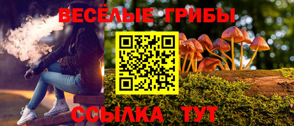 Псилоцибиновые грибы Psilocybine cubensis  наркотики  Кизляр  Вход с VPN 